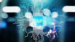 Mine-soft-solutions-SAP